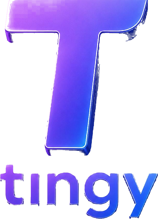Tingy Logo